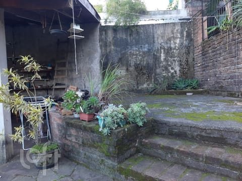 Image 37 - 252254